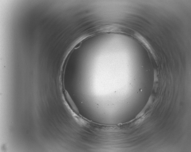 X0000068751434200605121558