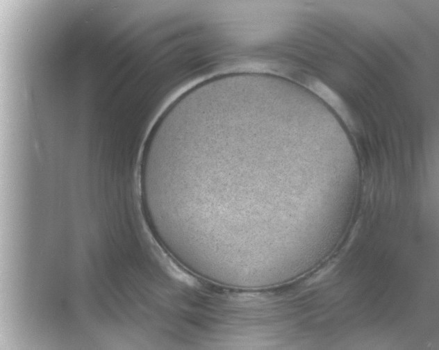 X0000068751436200605121558