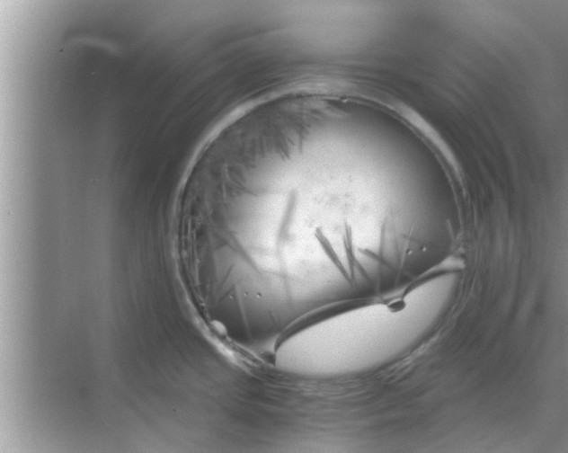 X0000068751437200605121558