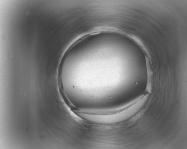 X0000068751438200605121558