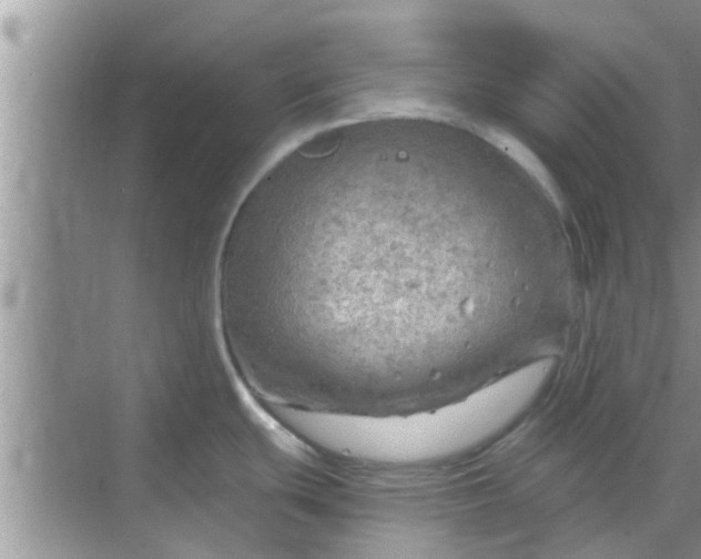 X0000068751439200605121558