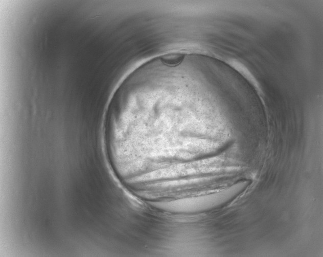 X0000068751440200605121558