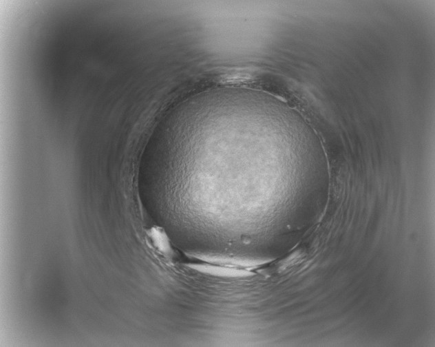 X0000068751441200605121557