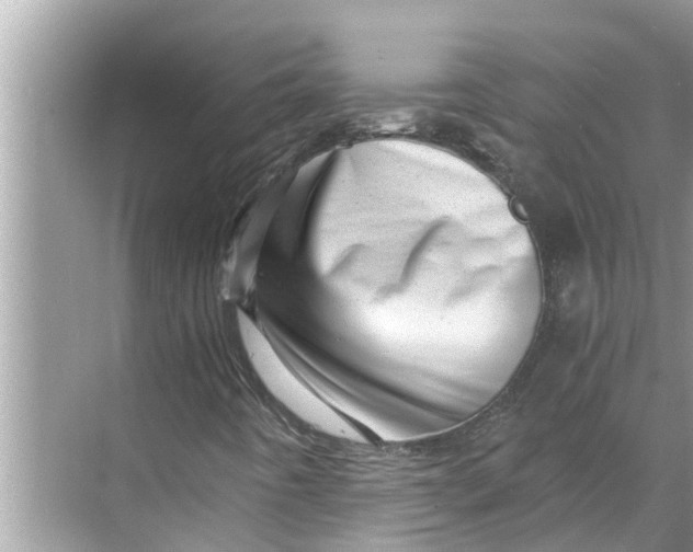 X0000068751442200605121557