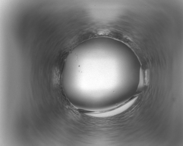 X0000068751443200605121557