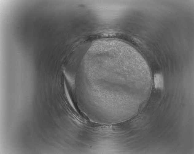 X0000068751444200605121557