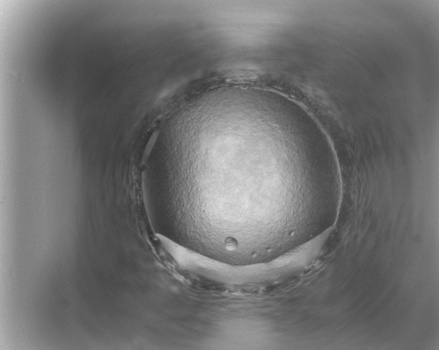 X0000068751445200605121557