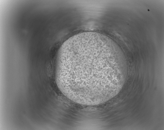 X0000068751446200605121557