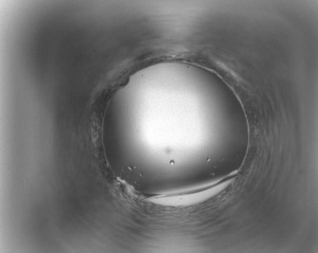 X0000068751447200605121557