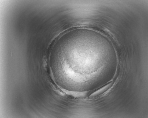 X0000068751449200605121557