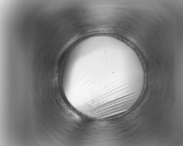 X0000068751450200605121557