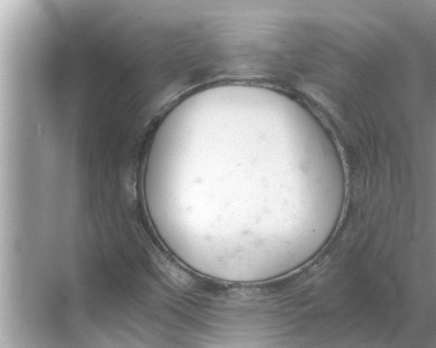 X0000068751451200605121557