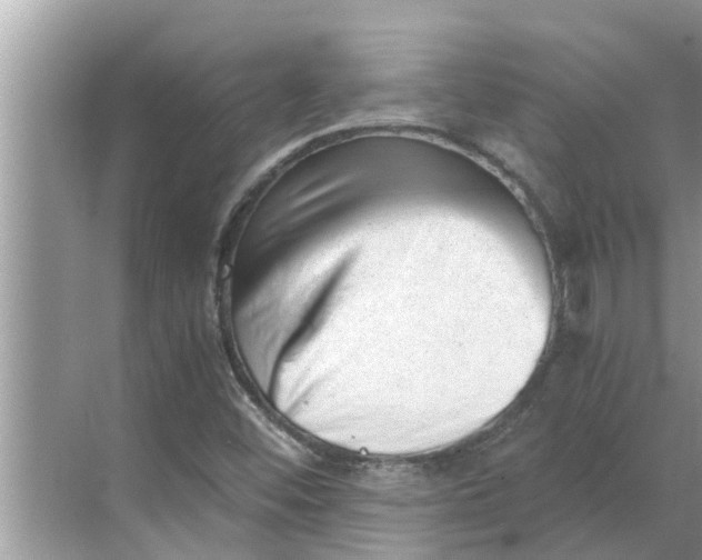 X0000068751452200605121557