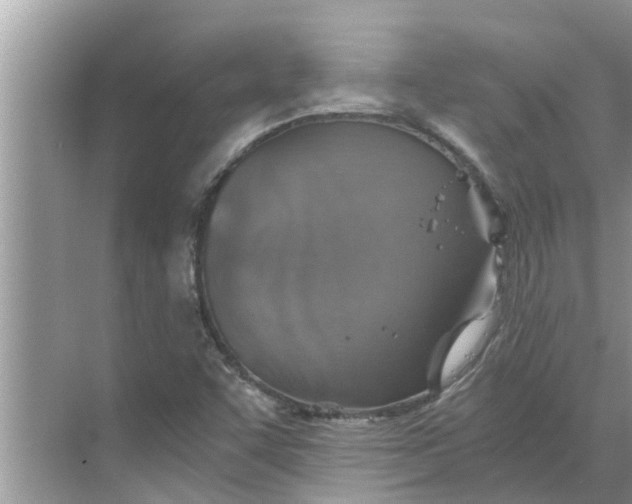 X0000068751455200605121557