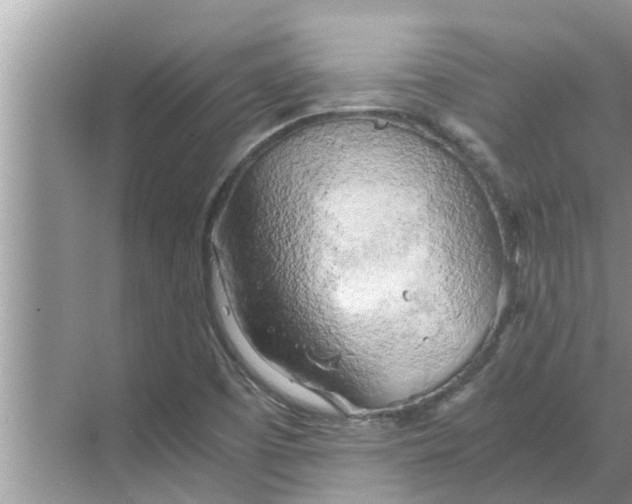 X0000068751457200605121557