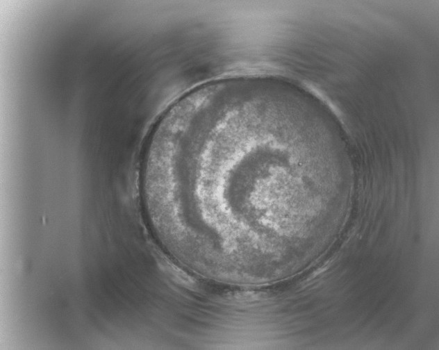 X0000068751459200605121557