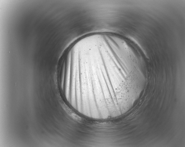 X0000068751460200605121557