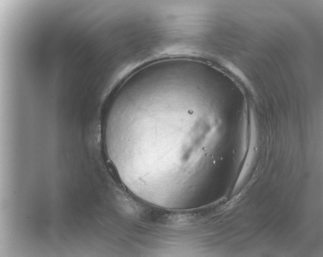 X0000068751461200605121557