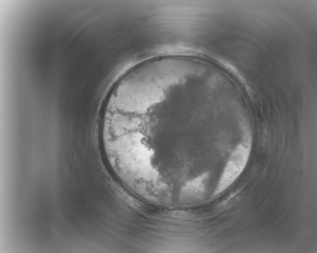 X0000068751463200605121557