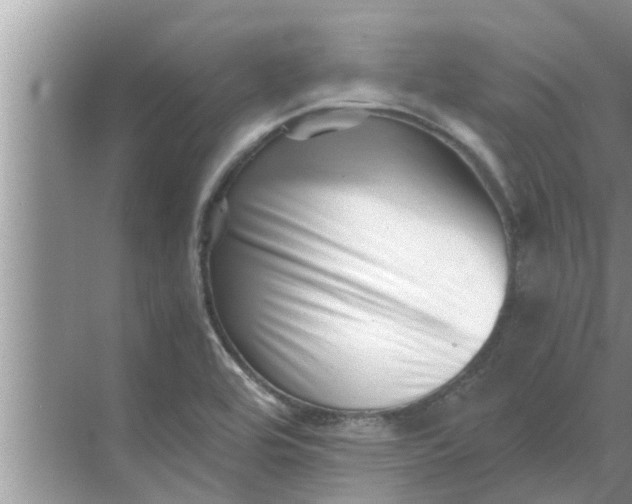 X0000068751464200605121557