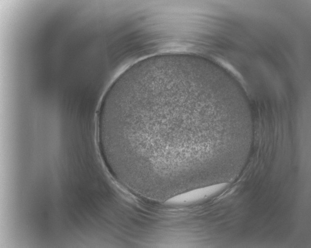 X0000068751467200605121557