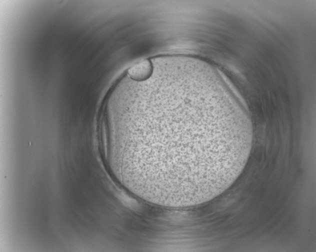 X0000068751470200605121557