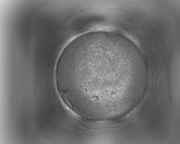 X0000068751471200605121557