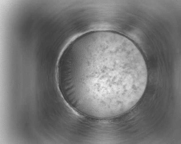 X0000068751472200605121557