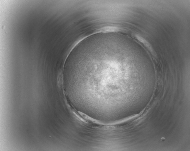 X0000068751473200605121557