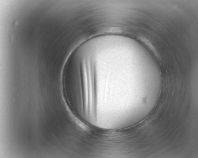 X0000068751475200605121557