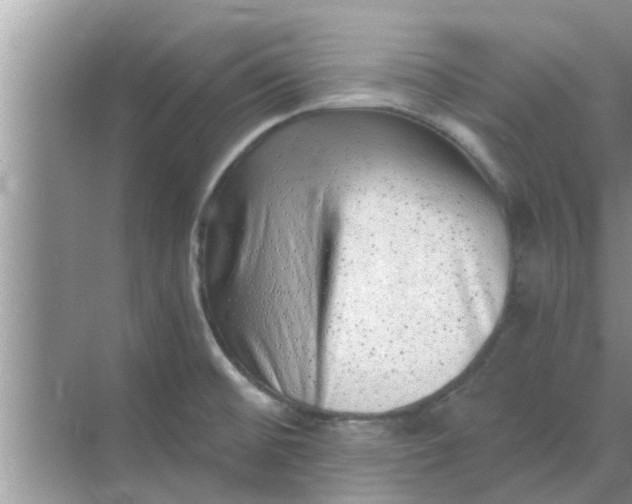 X0000068751476200605121557