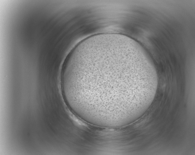 X0000068751478200605121557