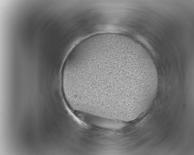 X0000068751479200605121557