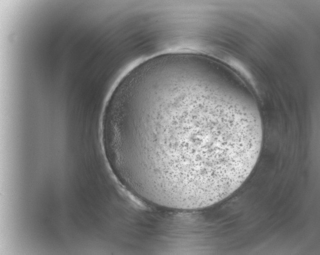 X0000068751480200605121557