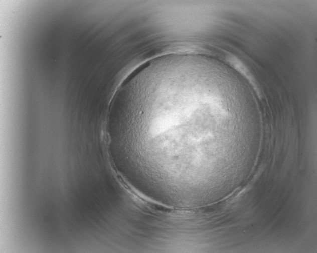 X0000068751481200605121557