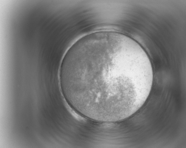 X0000068751482200605121557