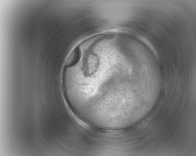 X0000068751483200605121557