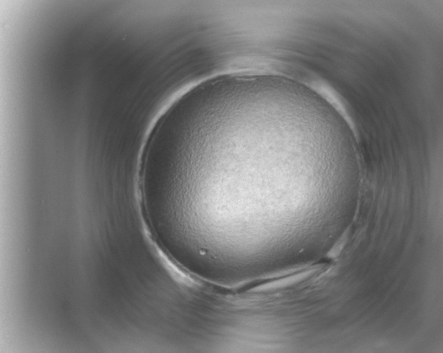 X0000068751485200605121557