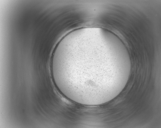 X0000068751486200605121557