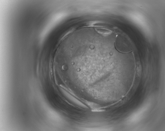 X0000068751487200605121557