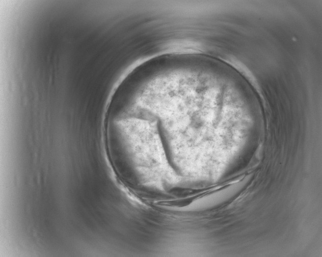 X0000068751488200605121557