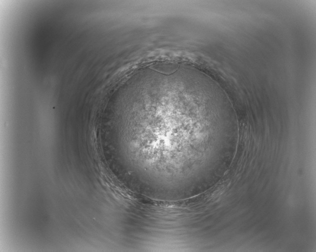 X0000068751489200605121556