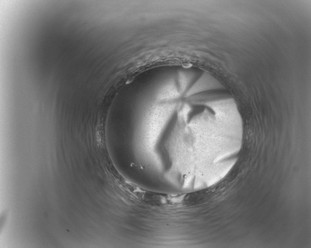 X0000068751490200605121556