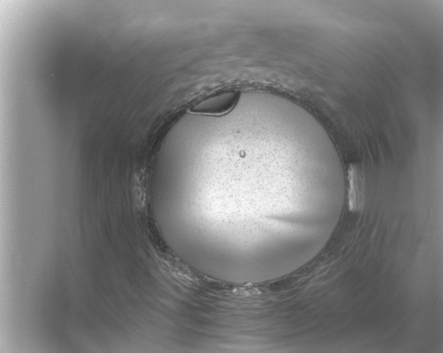 X0000068751491200605121556