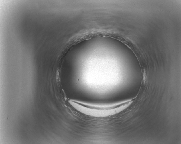 X0000068751492200605121556