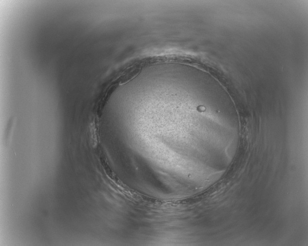 X0000068751493200605121556