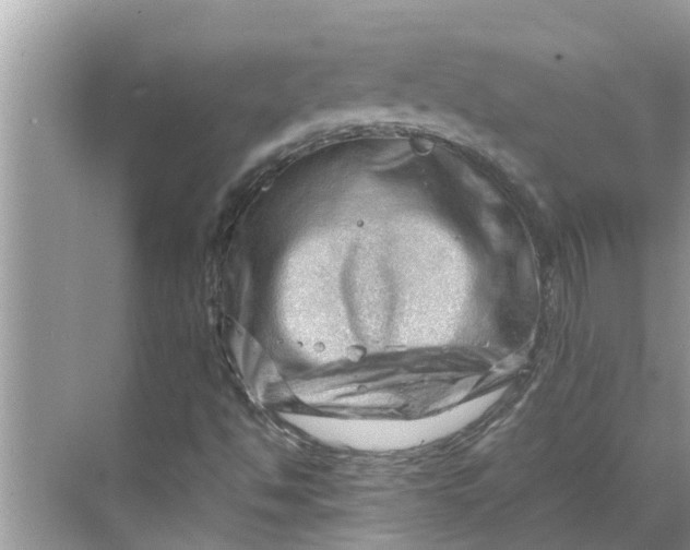 X0000068751494200605121556