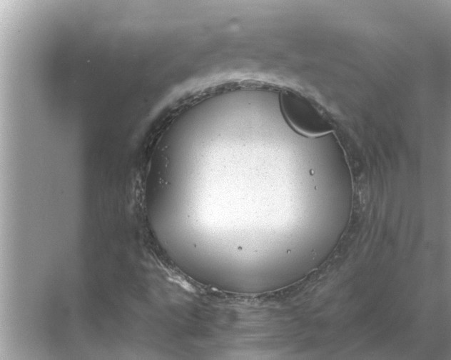 X0000068751495200605121556