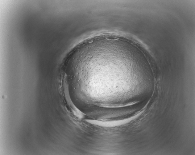 X0000068751496200605121556