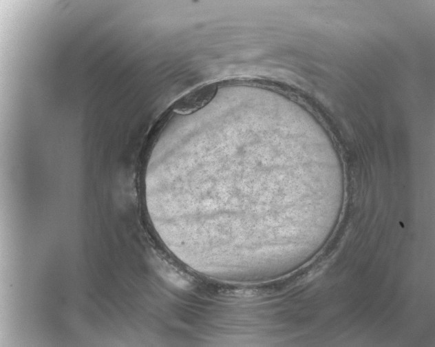 X0000068751497200605121556